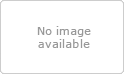 R4 SDHC DS Revolution (R4DS) w/ Free USB Charge Cable